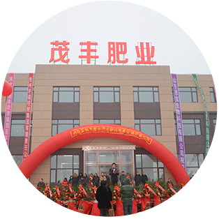这是描述信息